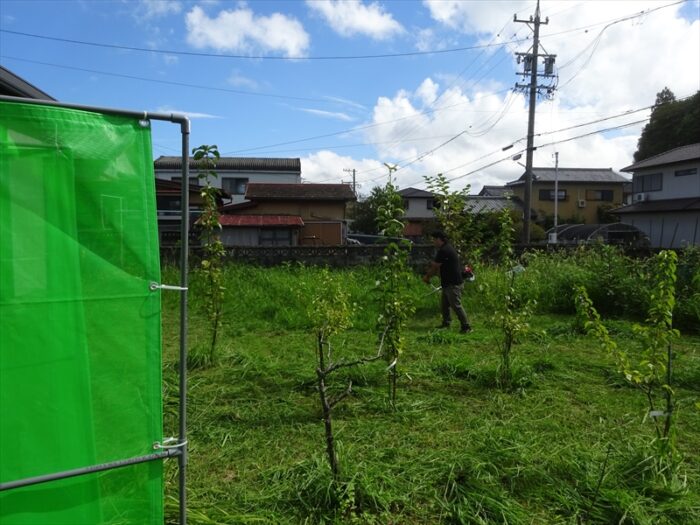 飛び石防止ネット