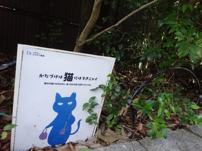 猫看板