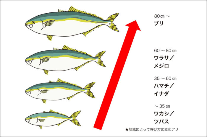 くらひろ by TEPCO - 東京電力