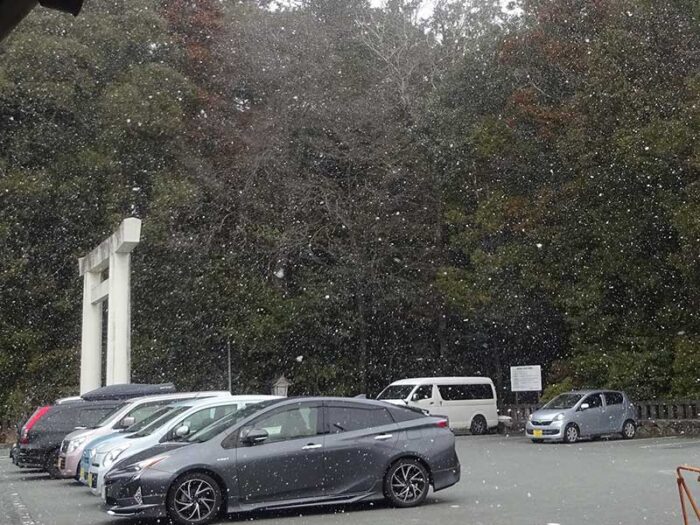 こちら的には豪雪